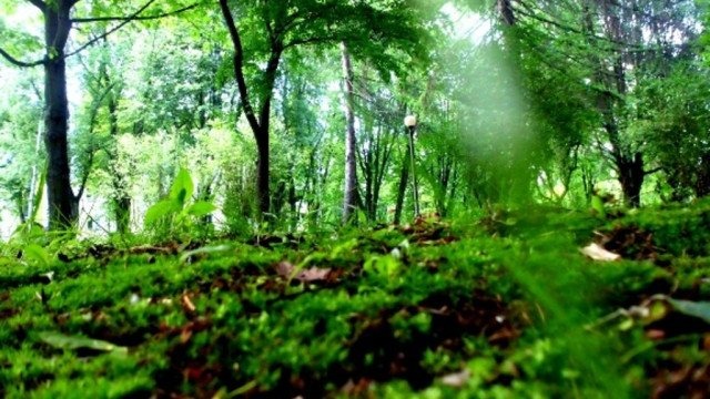 Upalne i słoneczne lato nas porzuca