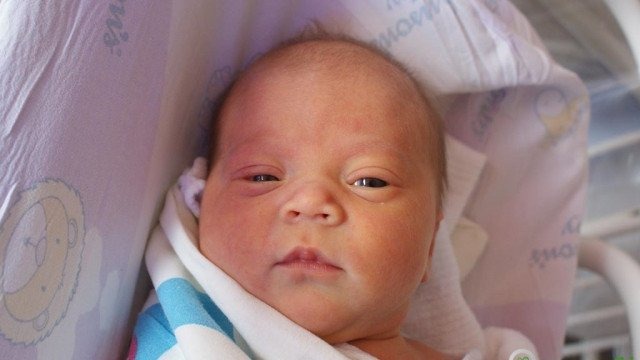 Witamy Maję, Oliwkę i Hanię – FOTO