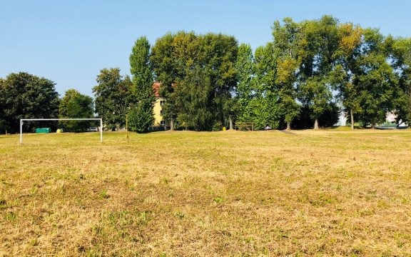 Tu na razie jest ściernisko – FILM, FOTO