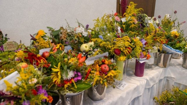 Grand Prix dla Osieka – FOTO