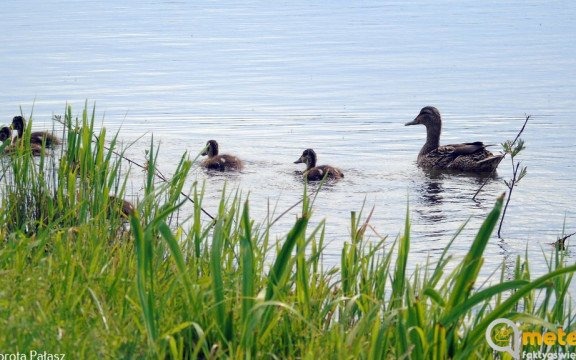 Prognoza pogody na weekend