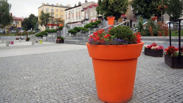 Kęty w dziesiątce najpiękniej ukwieconych miast w Polsce