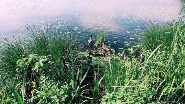 Deszczowo, możliwe burze