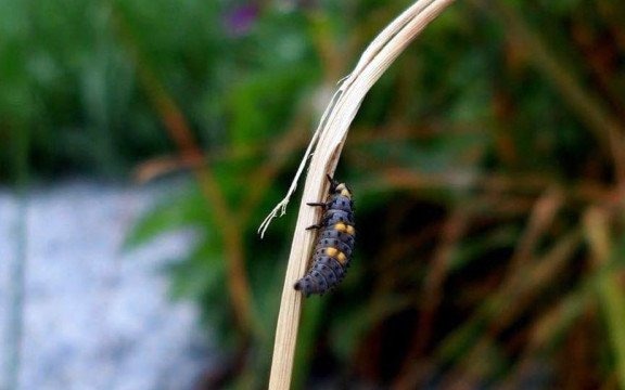 Ciepła i pochmurna niedziela