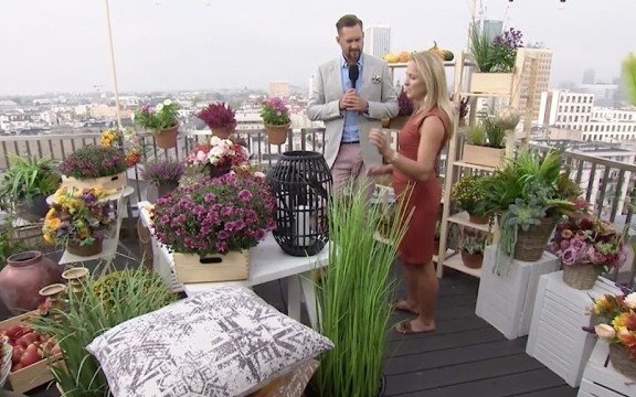 Co jesienią posadzić na balkonie? – FILM