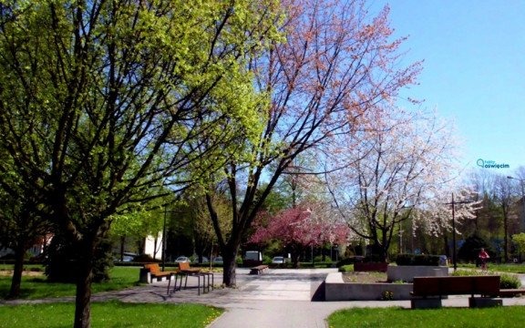 Mglista noc. Początek tygodnia pogodny