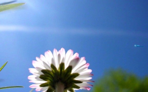 Przed nami ciepły dzień