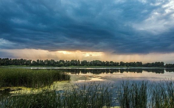 Zachmurzenie, deszcz, miejscami silny wiatr