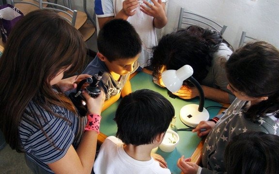 Odktywaj, testuj, obserwuj. Zapisz dziecko na uniwersytet