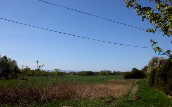 Noc z silnymi opadami, za dnia deszcz, wiatr i zimno