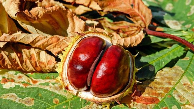 W czwartek 18 stopni Celsjusza