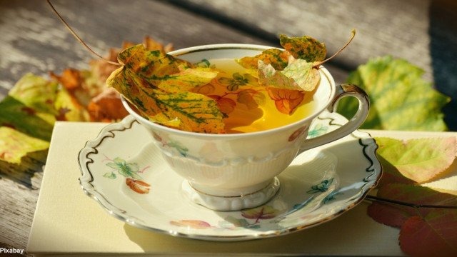 Jesienne lato wszędzie