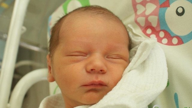 Witamy Emilkę, Jasia, Leona, Mikołaja i Szymka – FOTO