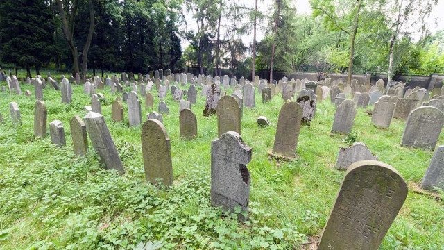 Możesz zwiedzić cmentarz żydowski z dr. Jackiem Proszykiem