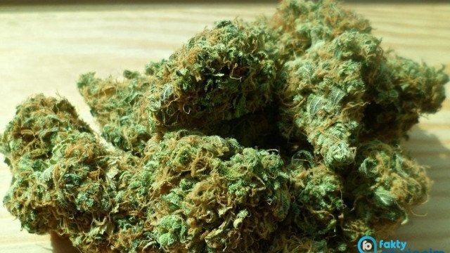 Wszedł w dorosłość i… konflikt z prawem