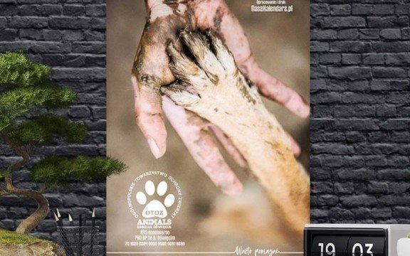 Kup kalendarz i pomóż zwierzakom