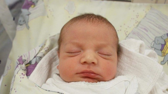 Witamy Igę, Olka, Bartka i Igora – FOTO