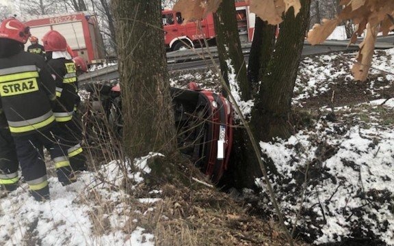 Renault wpadł do rowu między drzewa – FILM