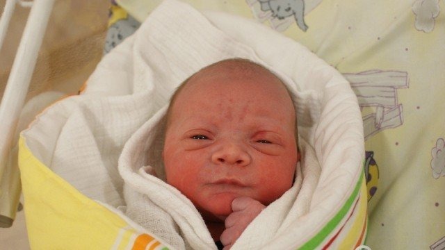 Witamy dziewiątkę cudownych maluszków – FOTO