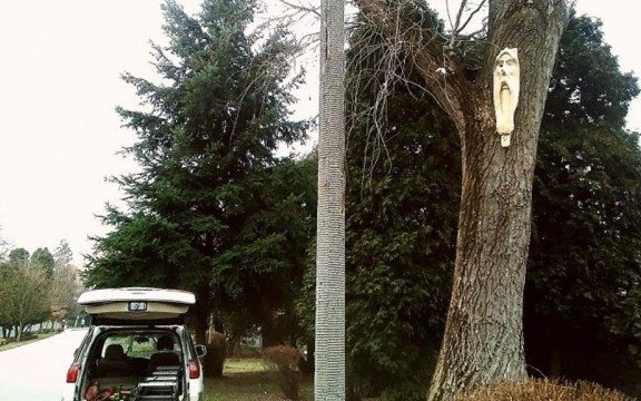 Przez oko do gniazda – FOTO