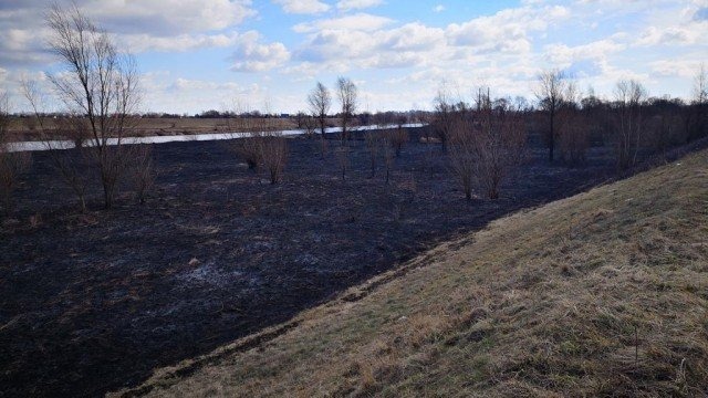 Ktoś przesadził z „zabawą”