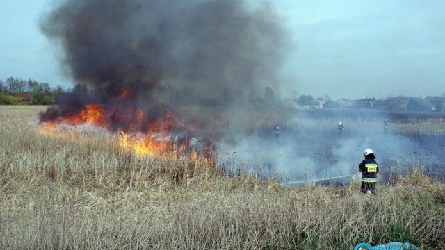 Floriany dla najlepszych inicjatyw strażackich