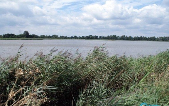 Najpiękniejsza, nowatorska i w sieci