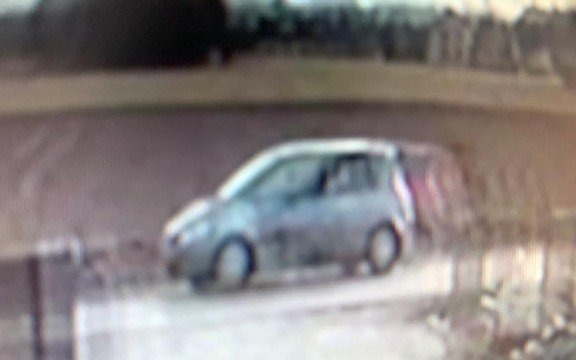 Potrącił psa i pojechał dalej