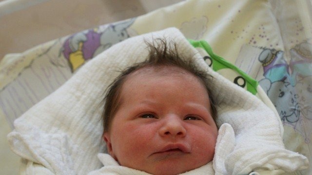 Witamy kolejną siódemkę wspaniałych – FOTO