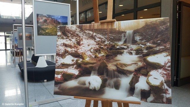 Wystawa Krzysztofa Kocierza w oświęcimskiej książnicy – FOTO