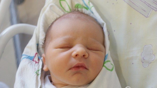 Witamy dziesiątkę maluchów – FOTO