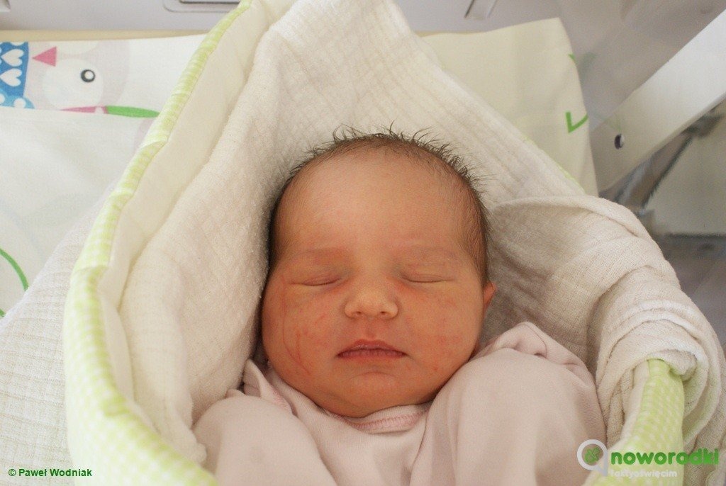 Witamy siedemnastkę nowych obywateli – FOTO