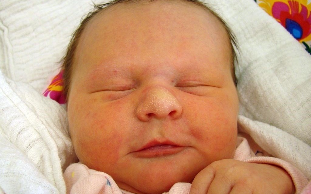 Jedną dziewczynkę i czterech chłopców witamy w galerii eFO – FOTO