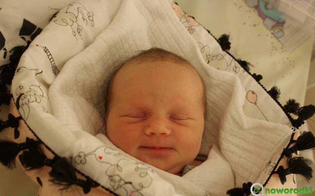 Witamy kolejne wiosenne maluchy – FOTO