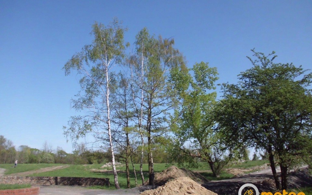 Na termometrach maksymalnie 12 stopni