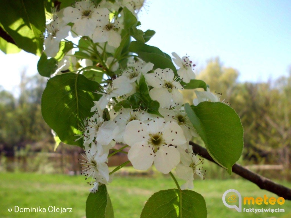 Z północy płynie zimne powietrze