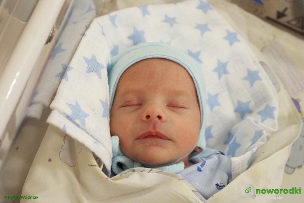 Witamy jedenaście plus sześć – FOTO