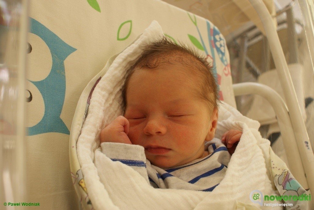 Witamy siedmioro wspaniałych dzieciaków – FOTO