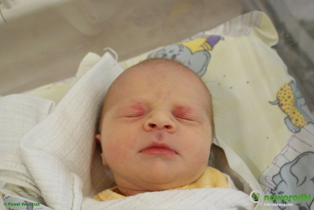 Dzień dobry maluchy. Witamy na świecie – FOTO