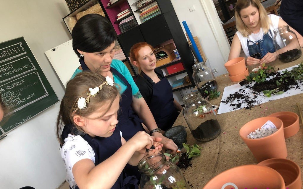 Stwórz własny las w słoiku