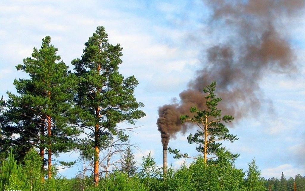 Najwięcej zgłoszeń dotyczy palenia śmieci