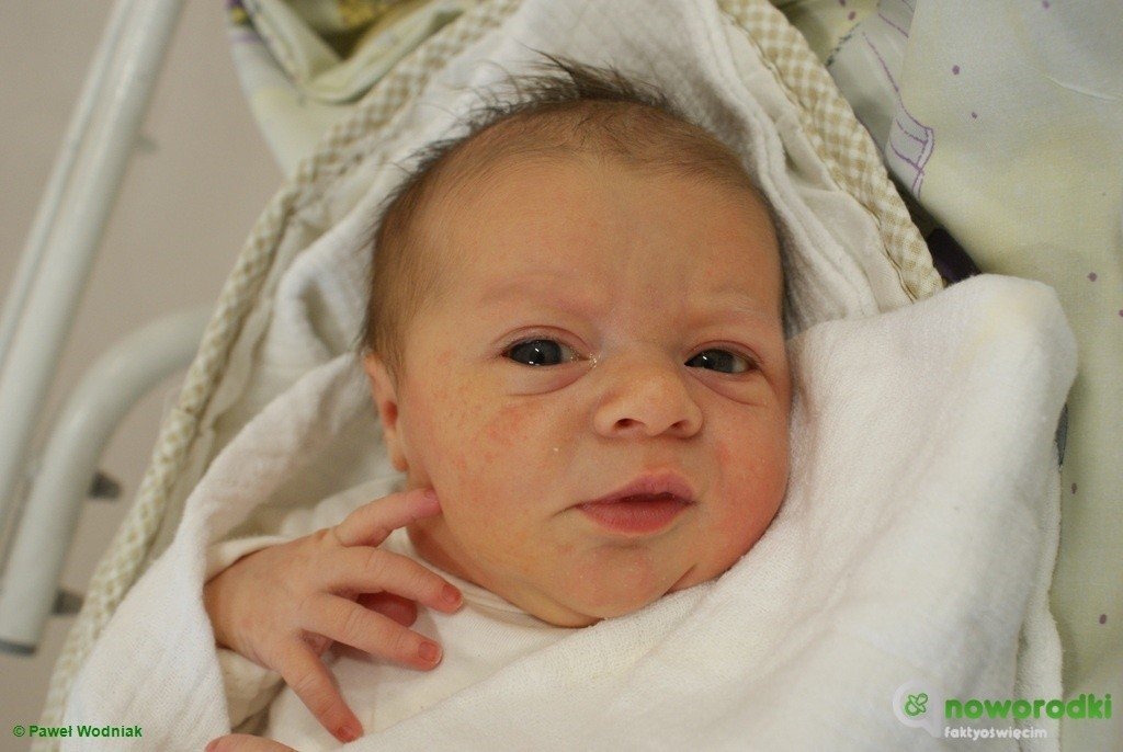 Witamy siódemkę wspaniałych maluchów – FOTO