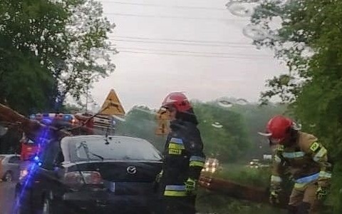 Drzewo spadło na samochód na obwodnicy Oświęcimia – FOTO