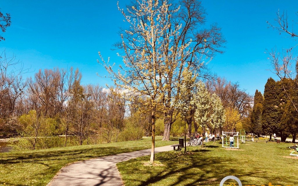 Dzień pod znakiem opadów, do 21 stopni