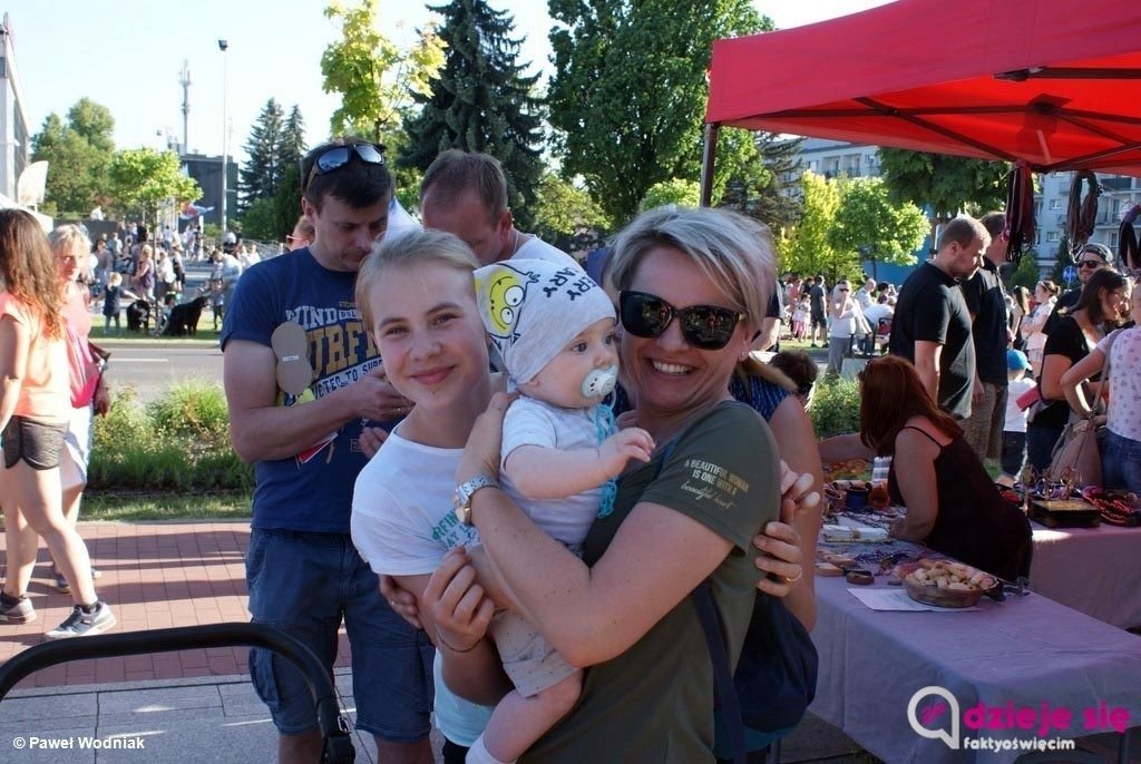 Dzisiaj Ekomajówka w grodzie nad Sołą