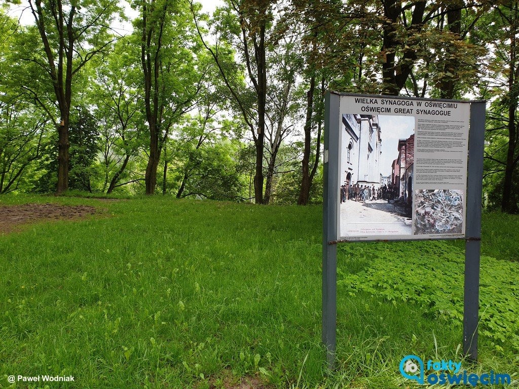 Wspaniałe nagrody za pomoc w stworzeniu parku – FOTO