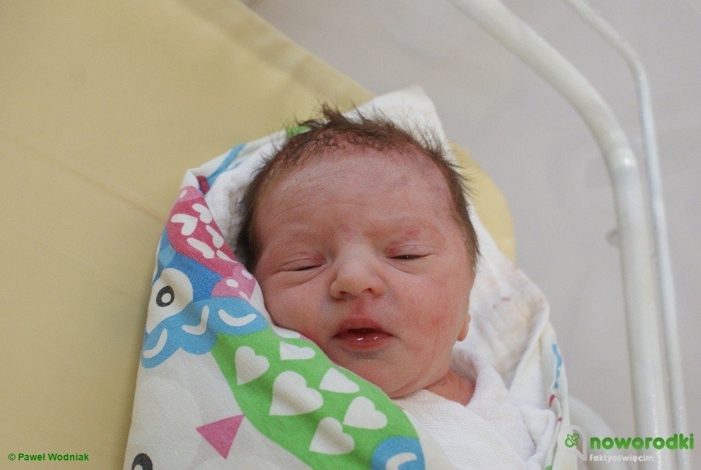 Dzisiaj witamy aż 22 noworodków – FOTO