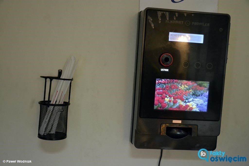 Oni bez prawa jazdy, ona po alkoholu