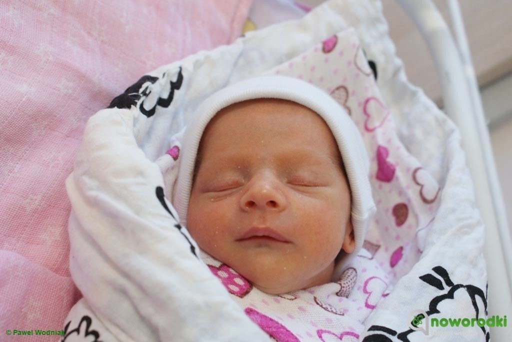 Witamy Emilkę, Ninę, Marcelinę i Maję – FOTO