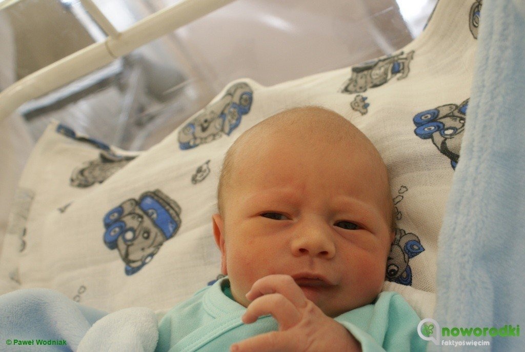 Witamy siódemkę wspaniałych noworodków – FOTO